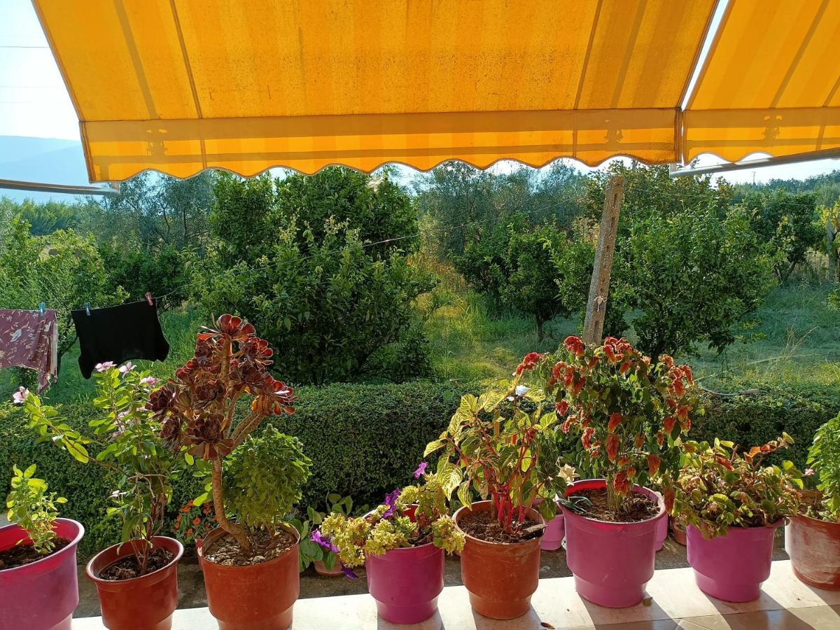 בראט Guest House Fetie מראה חיצוני תמונה