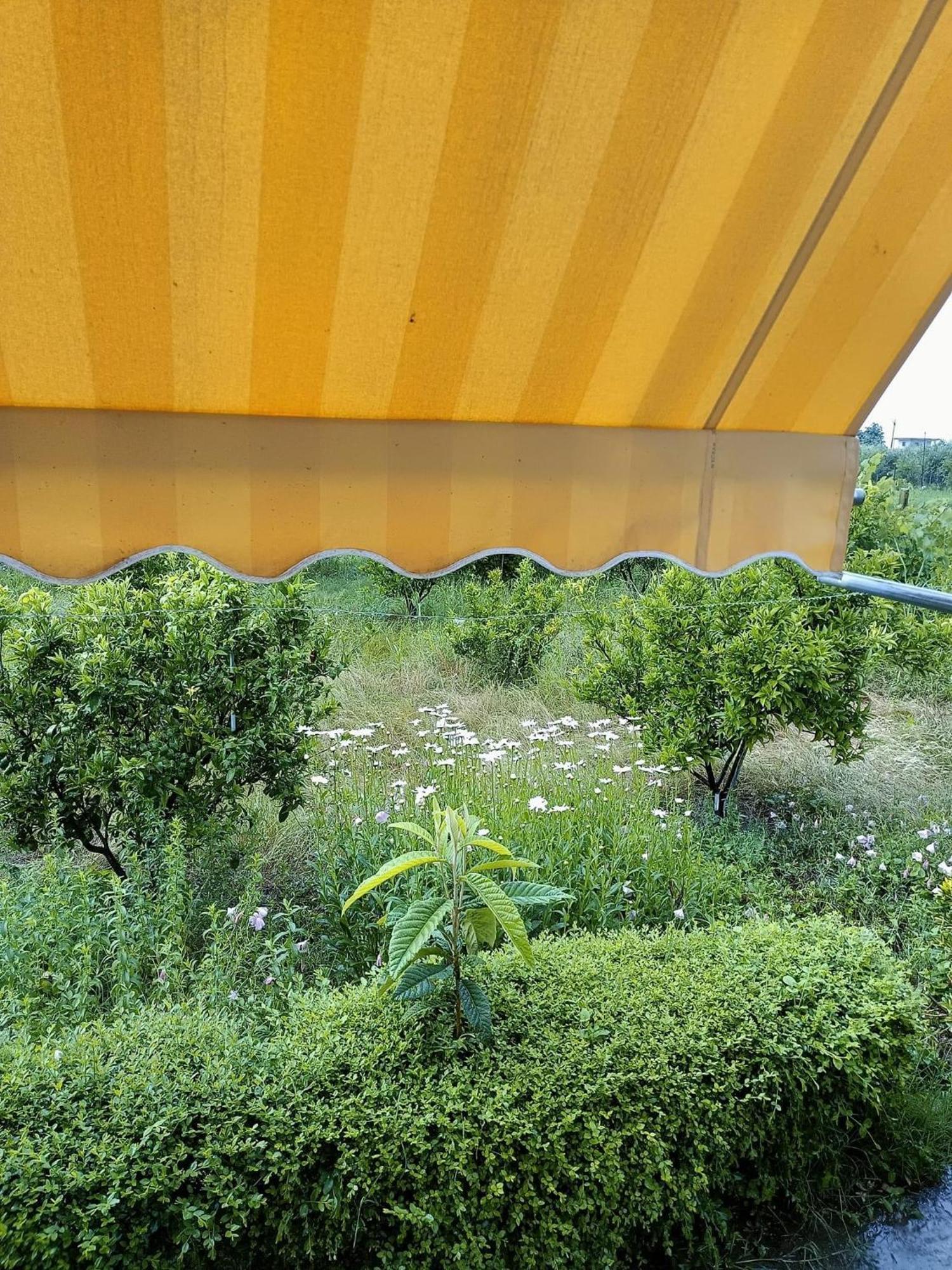 בראט Guest House Fetie מראה חיצוני תמונה